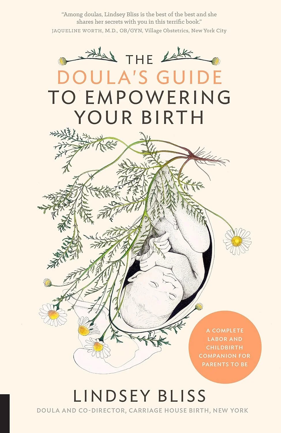 Book cover titled "The Doula's Guide to Empowering Your Birth" by Lindsey Bliss. The cover features a drawing of a fetus inside a womb, surrounded by illustrations of plants and daisies.