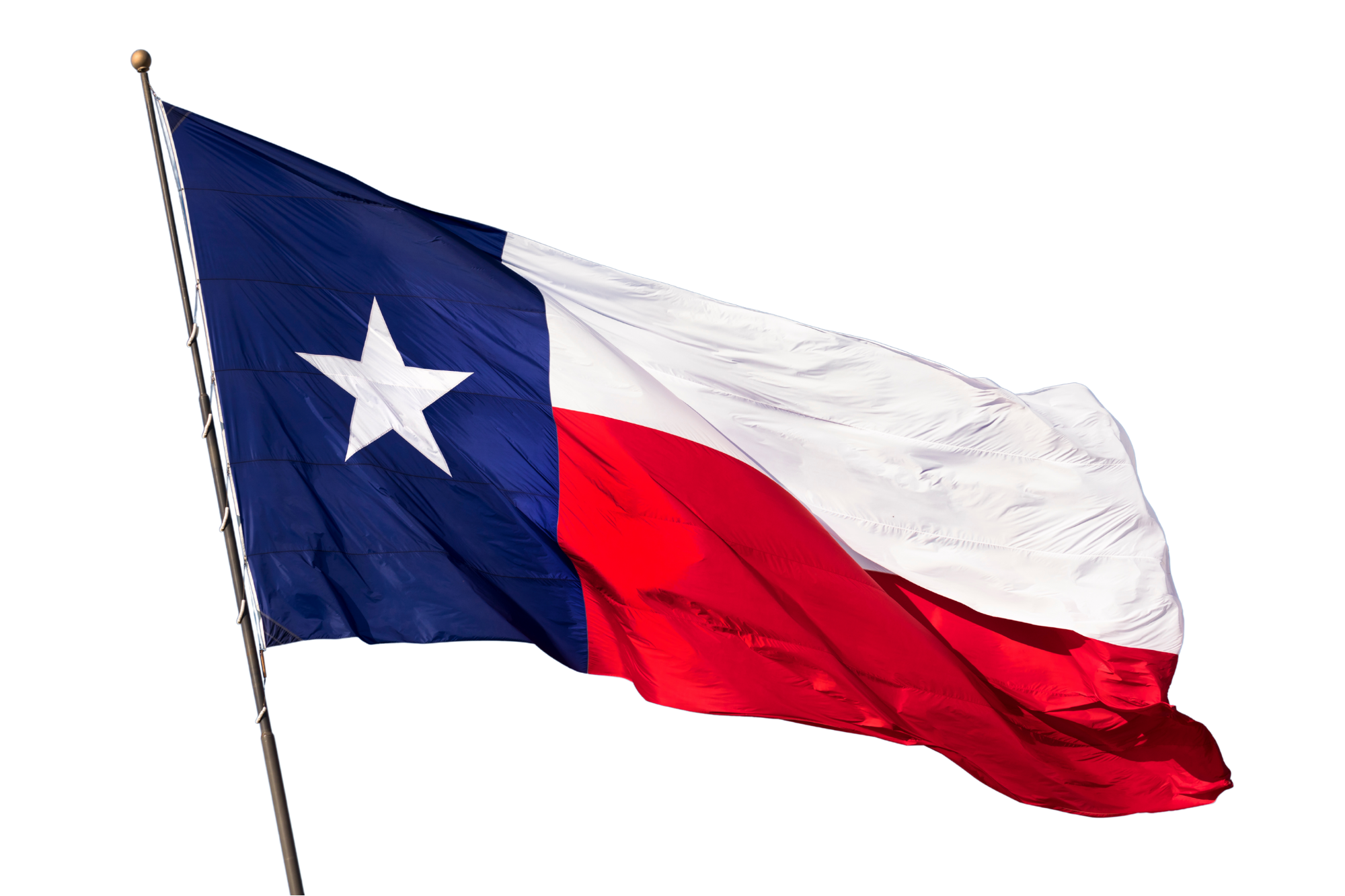 Untitled design (1).png