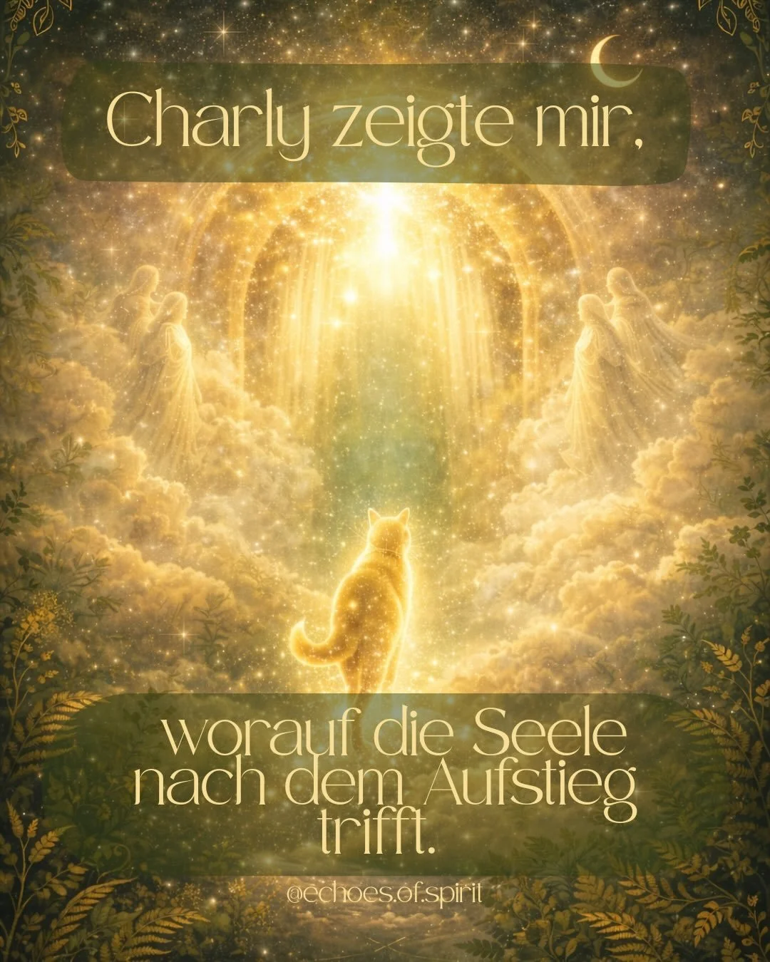 In meinem Gespr&auml;ch mit Charly, dem verstorbenen Kater von @_pawsouls_  erz&auml;hlte er mir ganz umfangreich, was nach dem Tod des K&ouml;rpers mit der Seele passiert. 

Er beschrieb einen Aufstieg, der im Erreichen einer Art Schleuse m&uuml;nde