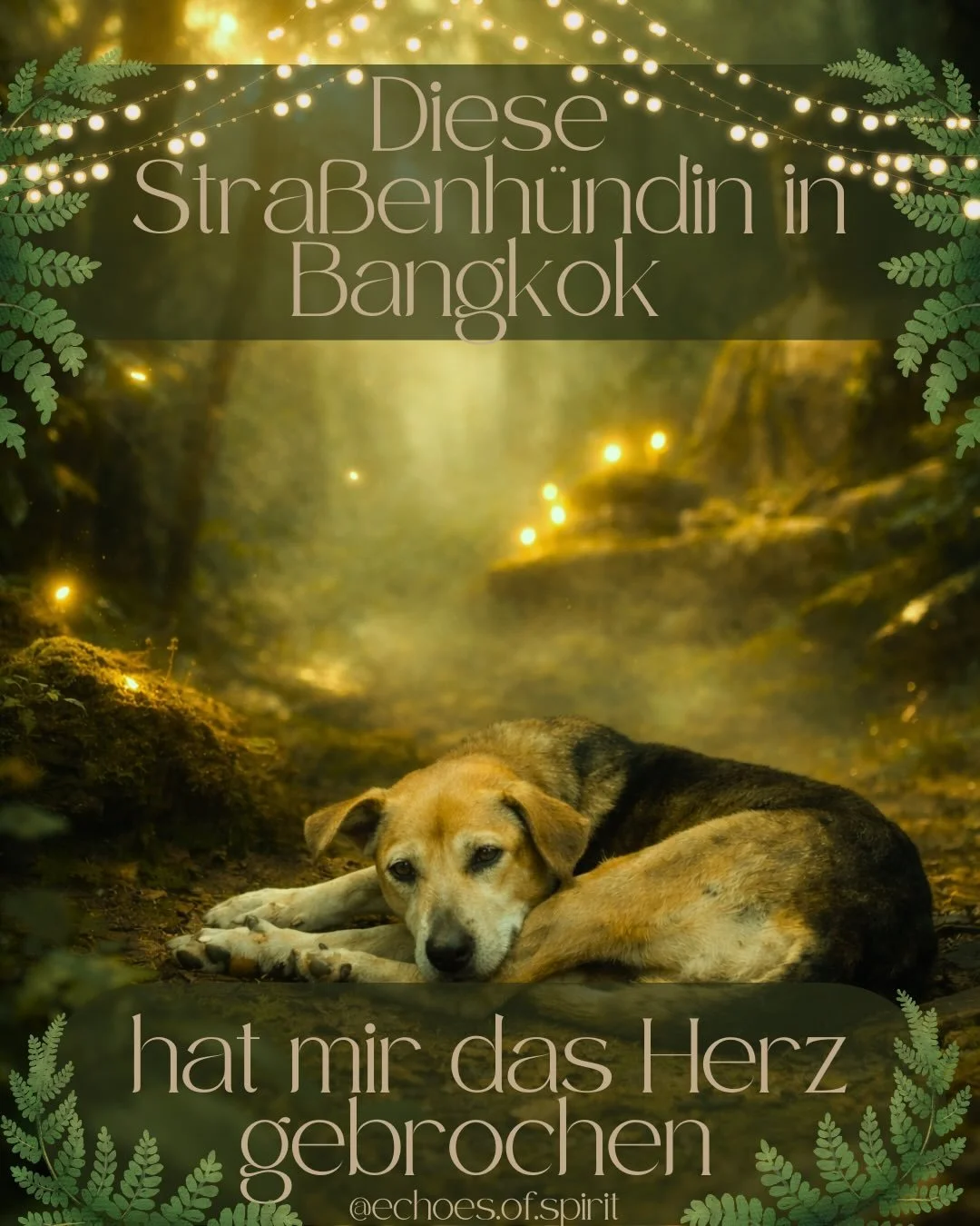 Diese Begegnung in Bangkok hat mich noch wirklich lange besch&auml;ftigt. 🥺

Die H&uuml;ndin war sehr d&uuml;nn und hatte Wunden am R&uuml;cken. Ich habe die H&uuml;ndin schon ein paar mal gesehen - erst als ich sie streichelte, weil sie sehr direkt