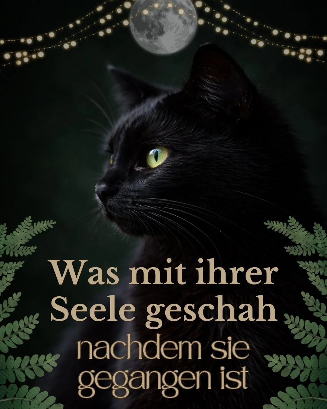 In einer Jenseitskommunikation beschrieb mir eine verstorbene Katze, wie der Ort aussieht, an dem ihre Seele gerade ist. Ich bin ehrlich zu euch - bevor ich so tief in die Tierkommunikation abgetaucht bin, ist der Tod ein schon sehr schweres Thema f&