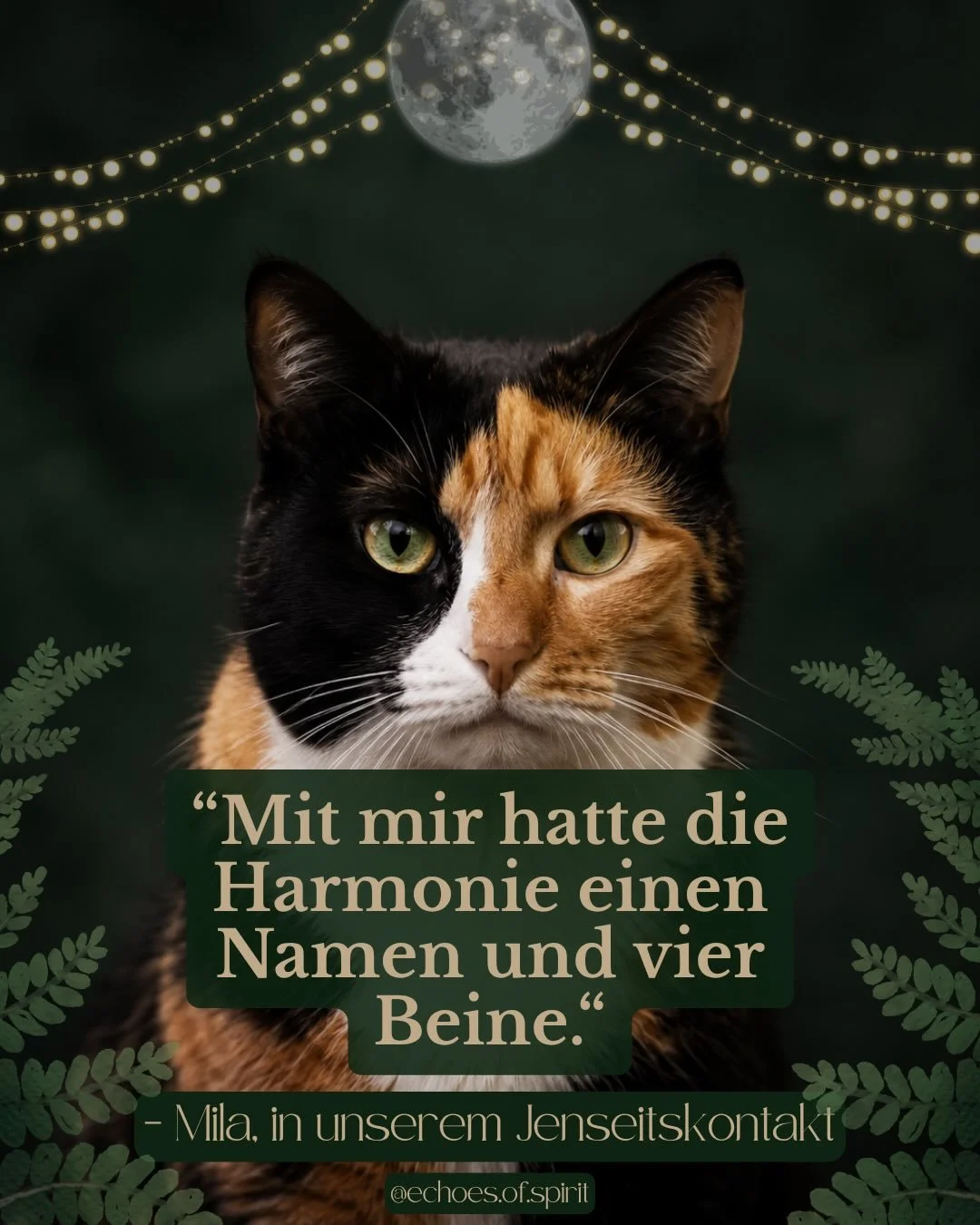 In systemischen Prozessen sprechen wir oft dar&uuml;ber, dass jedes Mitglied eines Systems einen Platz und eine bestimmte Dynamik einnimmt. 

Und was dabei manchmal vergessen wird: Unsere Tiere geh&ouml;ren da nat&uuml;rlich auch mit dazu. 

Mila (Na