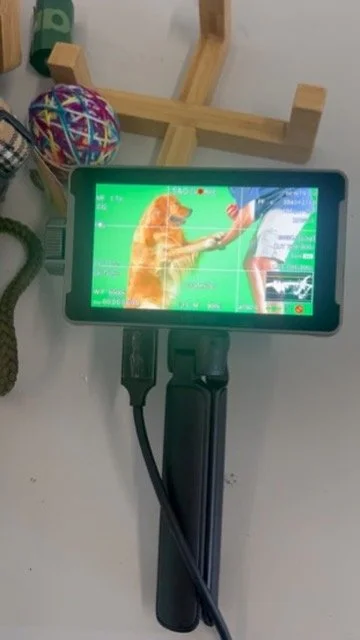 Healthspan Vetvits_13.jpeg