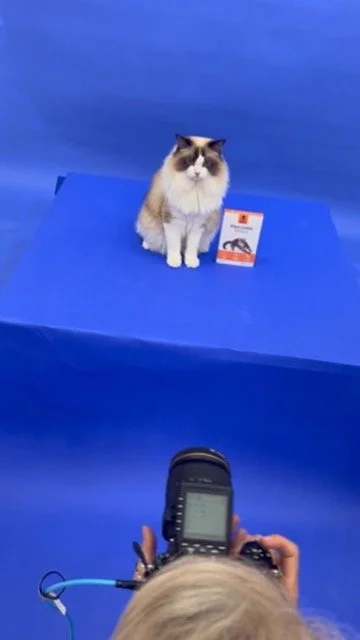 Healthspan Vetvits_15.jpeg