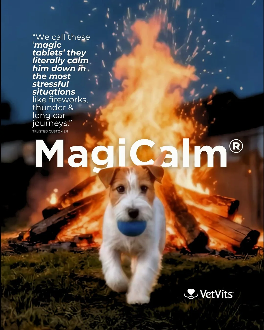 VetVits Magicalm_4.jpg