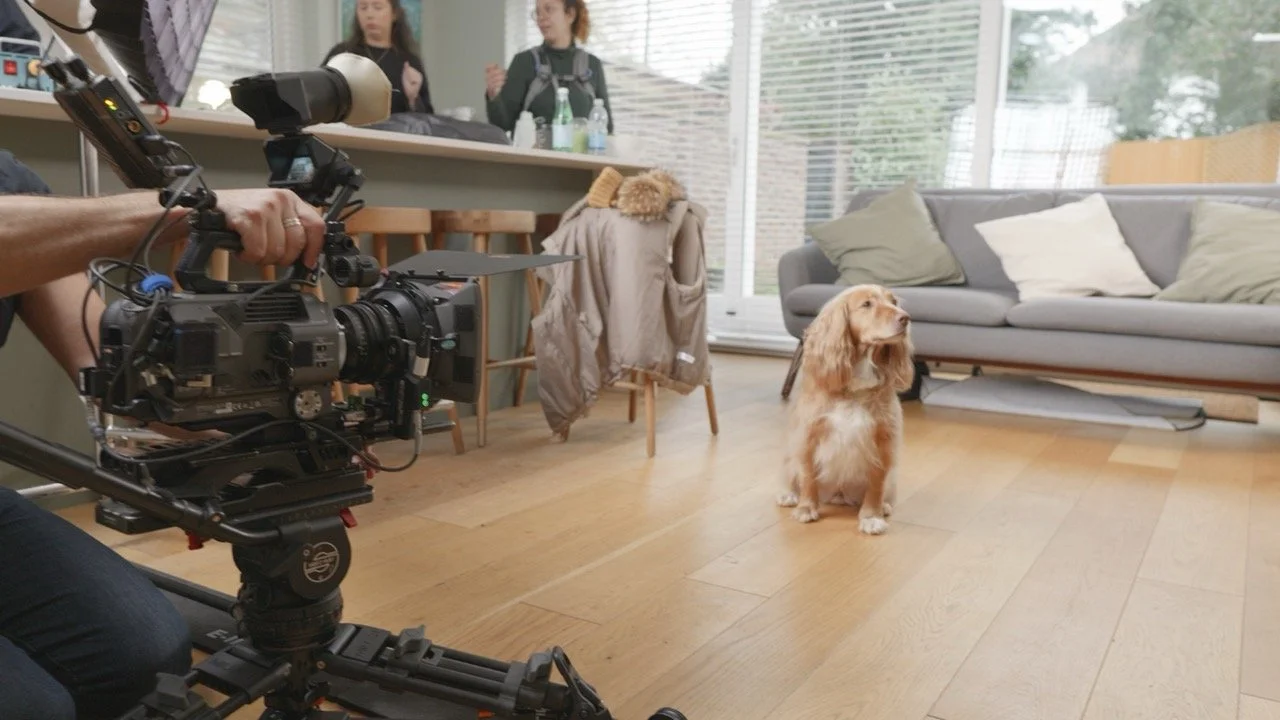 Freshpet Crufts 2025_1.jpg