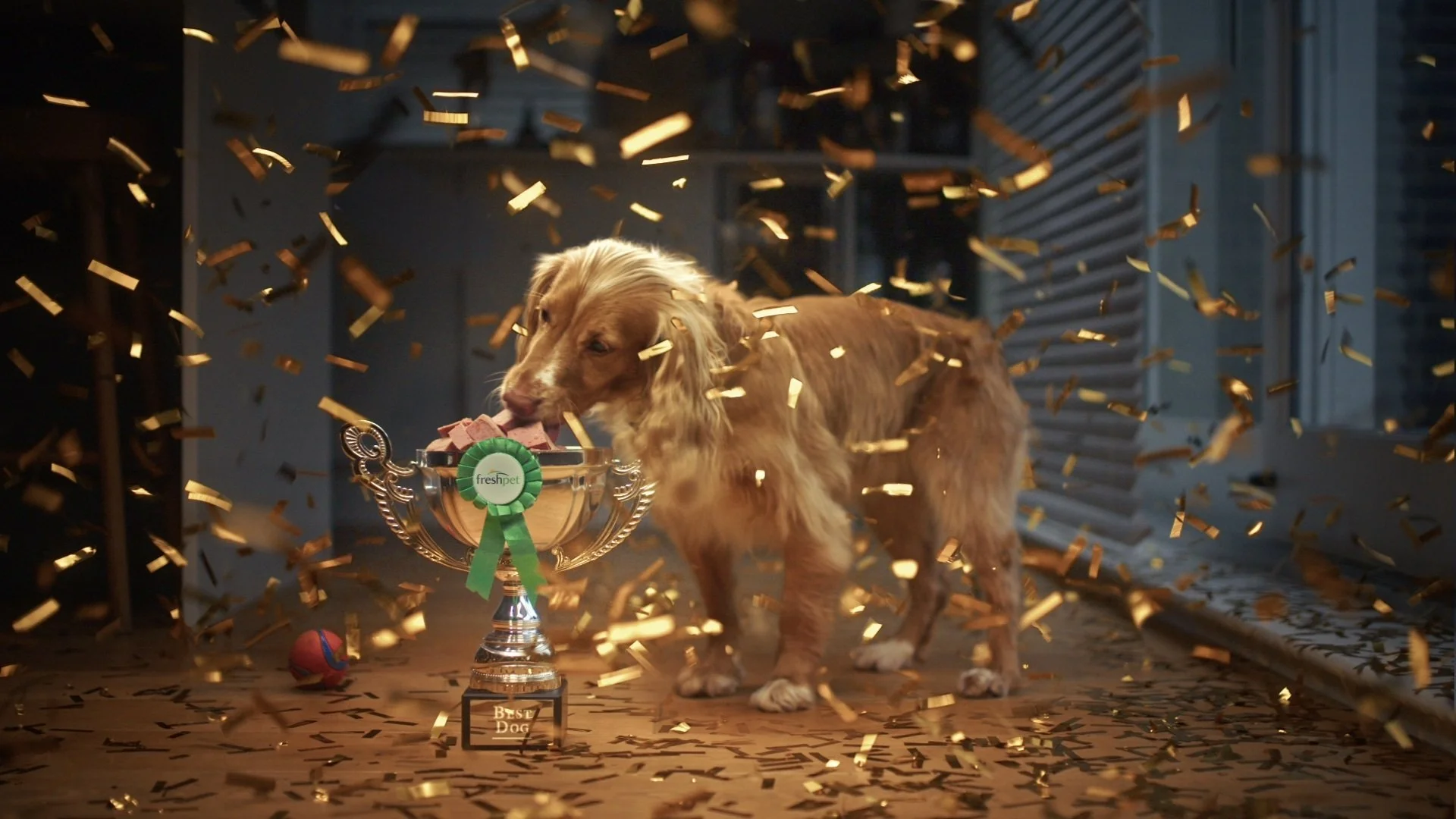 Freshpet Crufts 2025_19.jpg