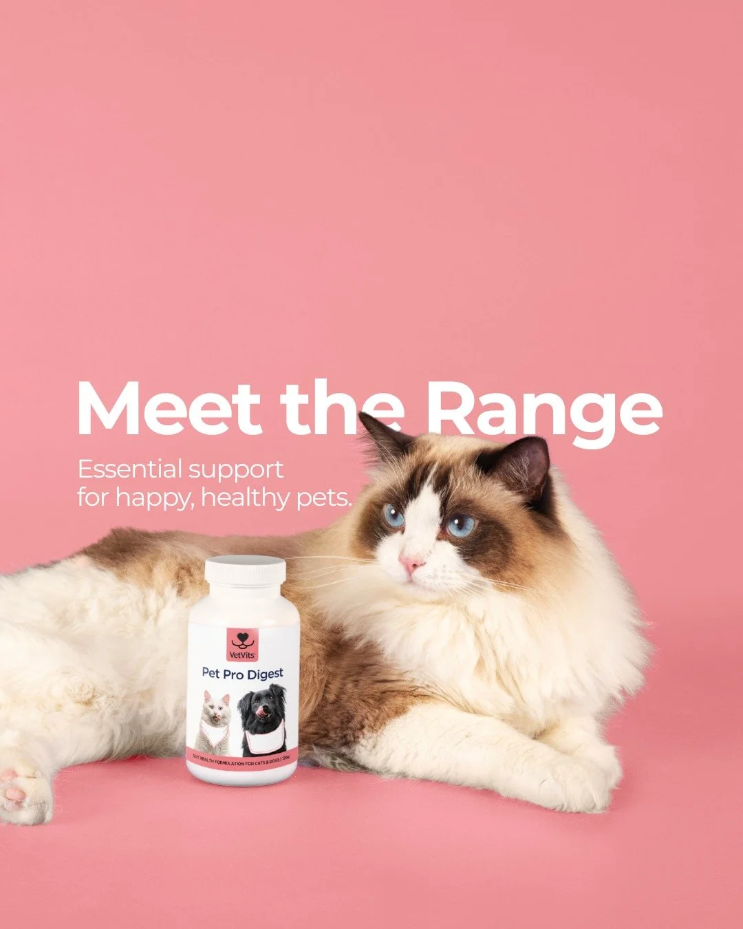 Healthspan Vetvits_10.jpg