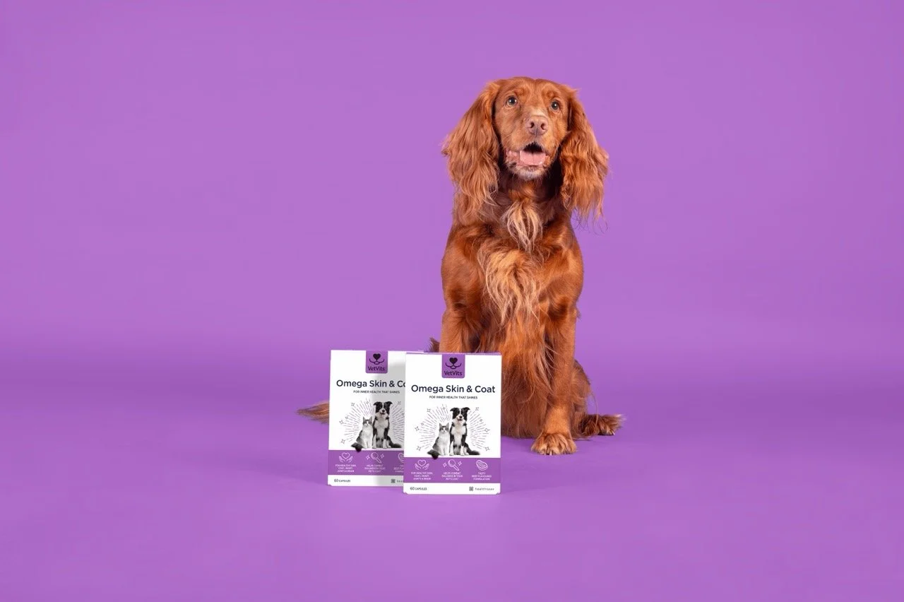 Healthspan Vetvits_1.jpg