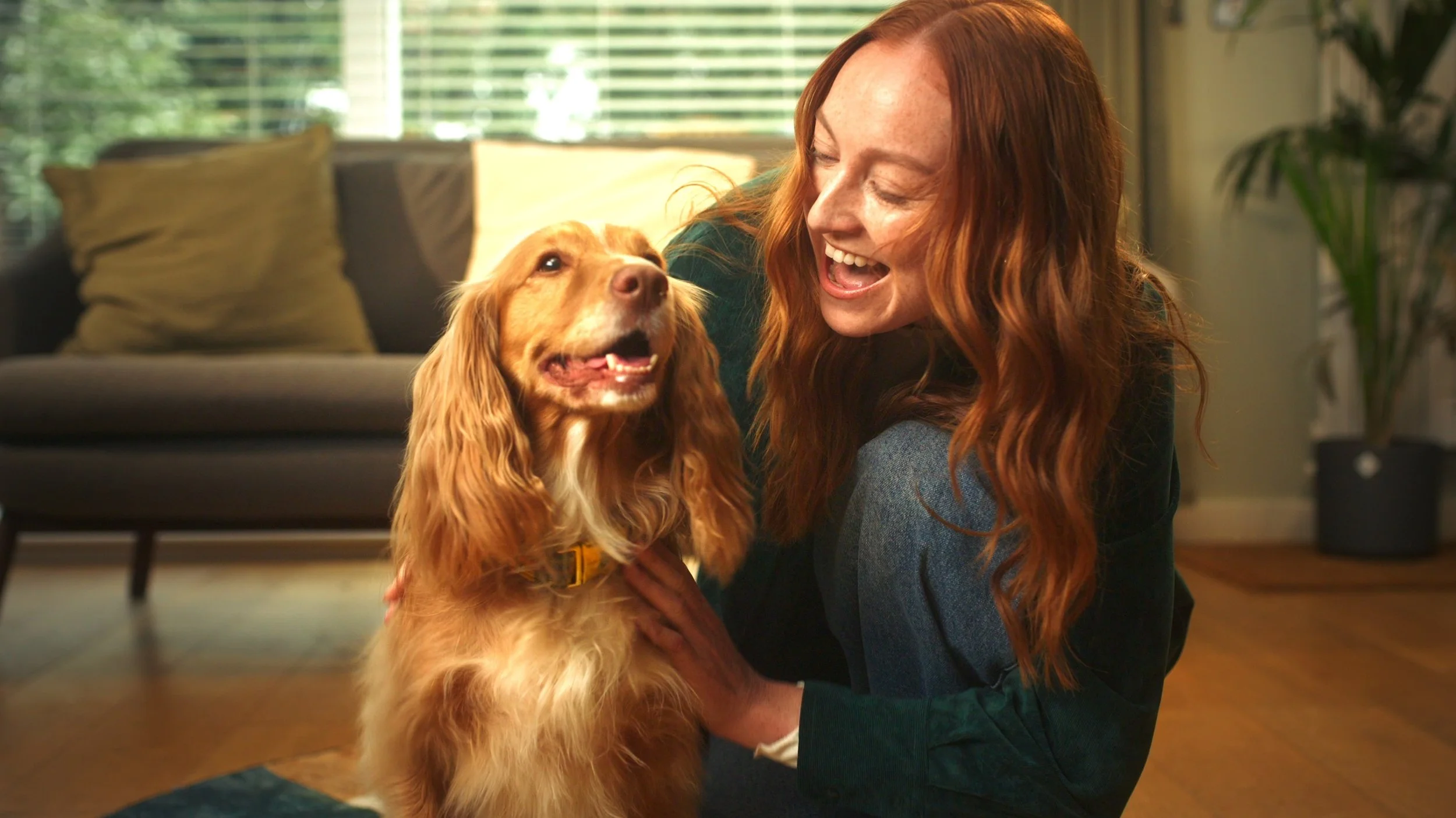 Freshpet X Crufts 2025