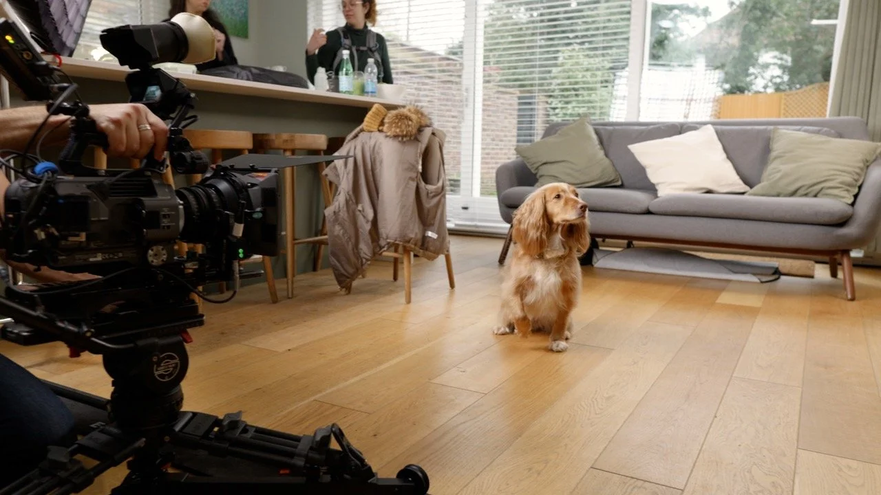 Freshpet Crufts 2025_9.jpg