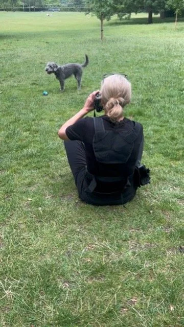 Healthspan Vetvits_12.jpeg