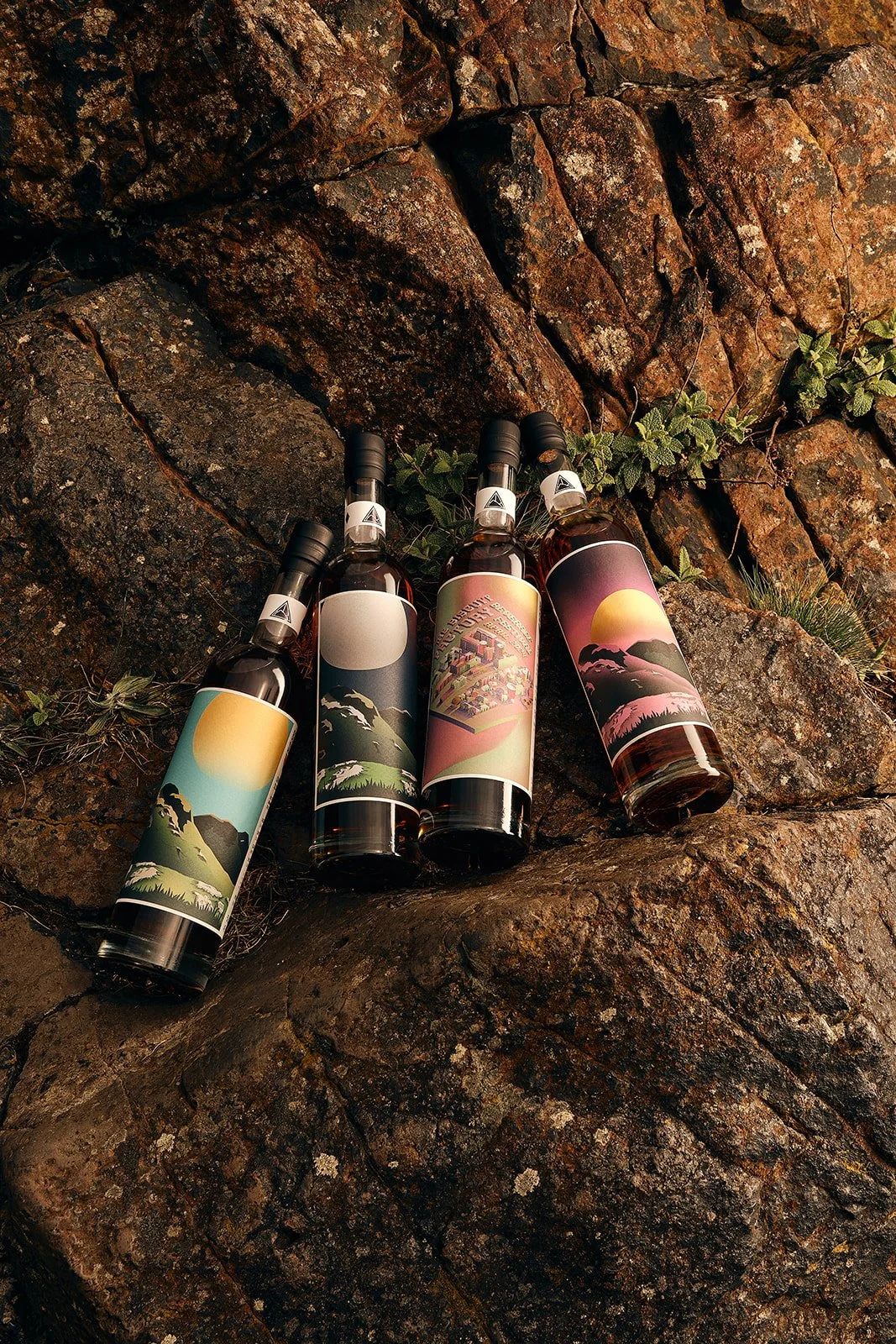 Four bottles of alcohol with colorful, artistic labels resting on a large, rocky surface with some green foliage around.