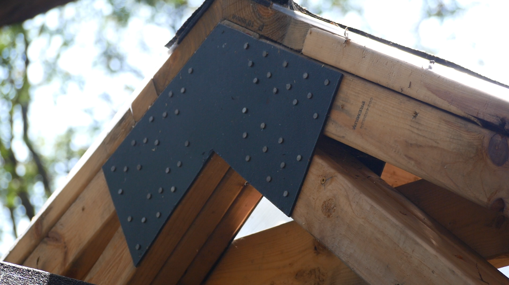 Screenshot 2026-02-10 030346.png