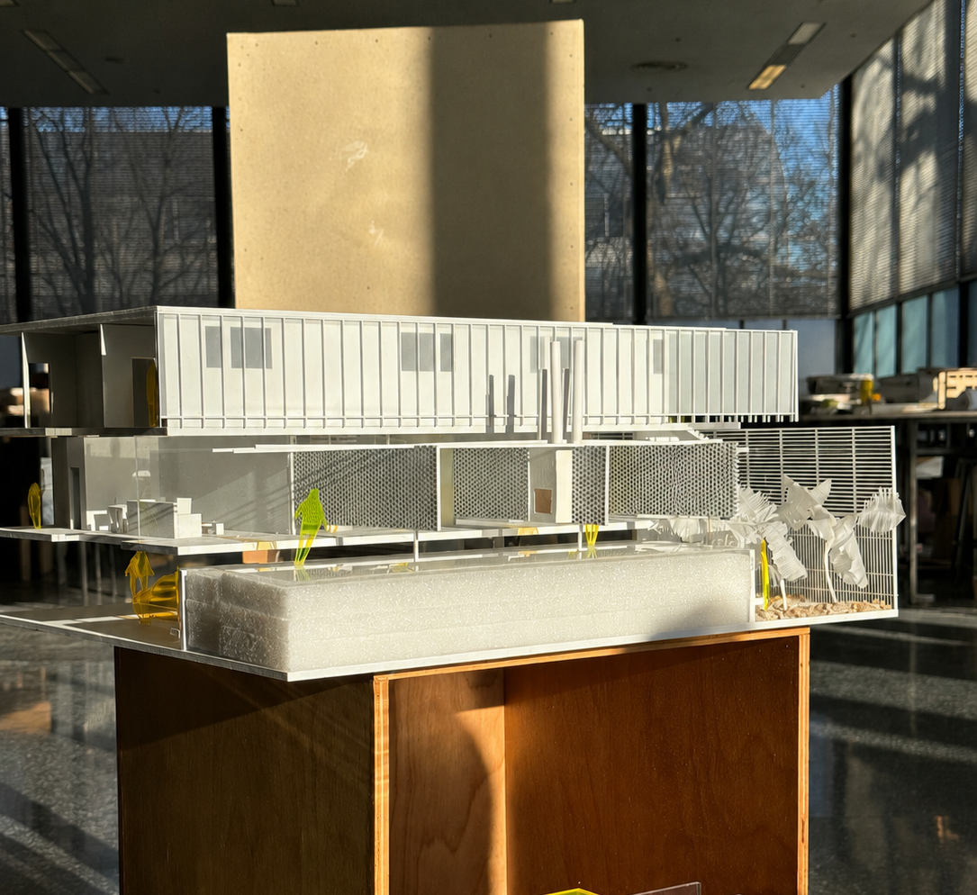 Complejo 8 casas Case Study