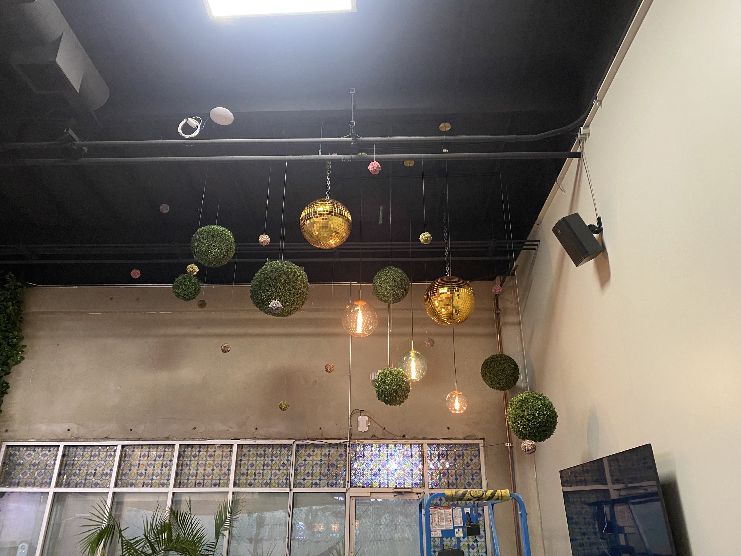 Light and Hanging Plant Installation