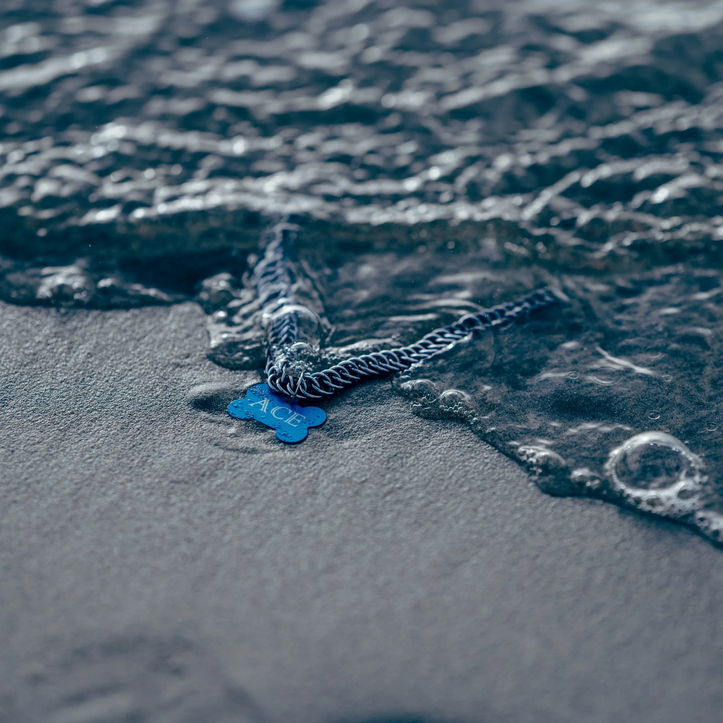 A blue carved tag reading 'ACE' attached to a silver chain lying in shallow water on a sandy beach.