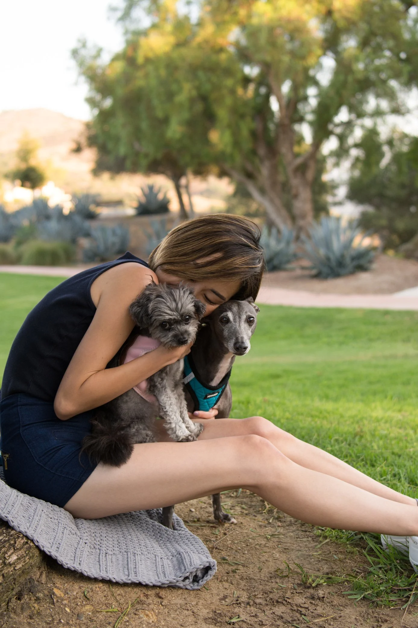 A woman sitting on the ground hugging two dogs in a park with green grass and trees in the background.