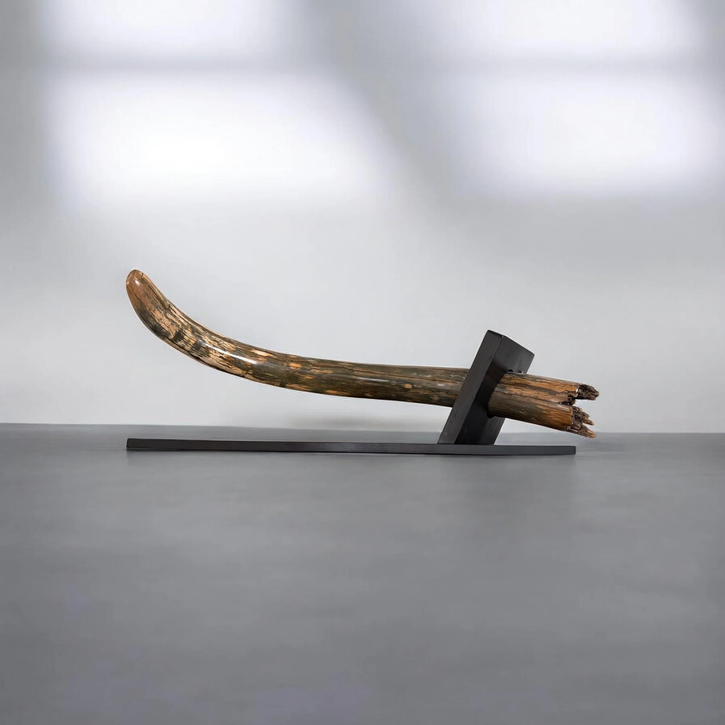 Mammoth Tusk