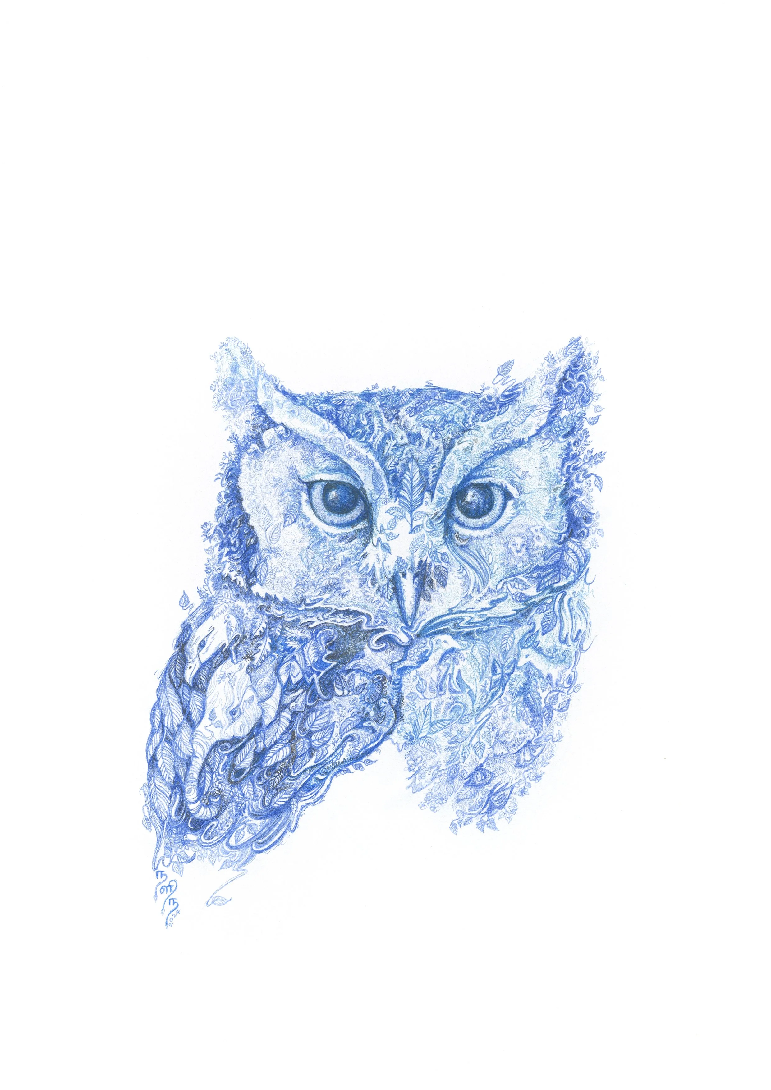 The Blue Owl 5 (Raja Borneo Owl)