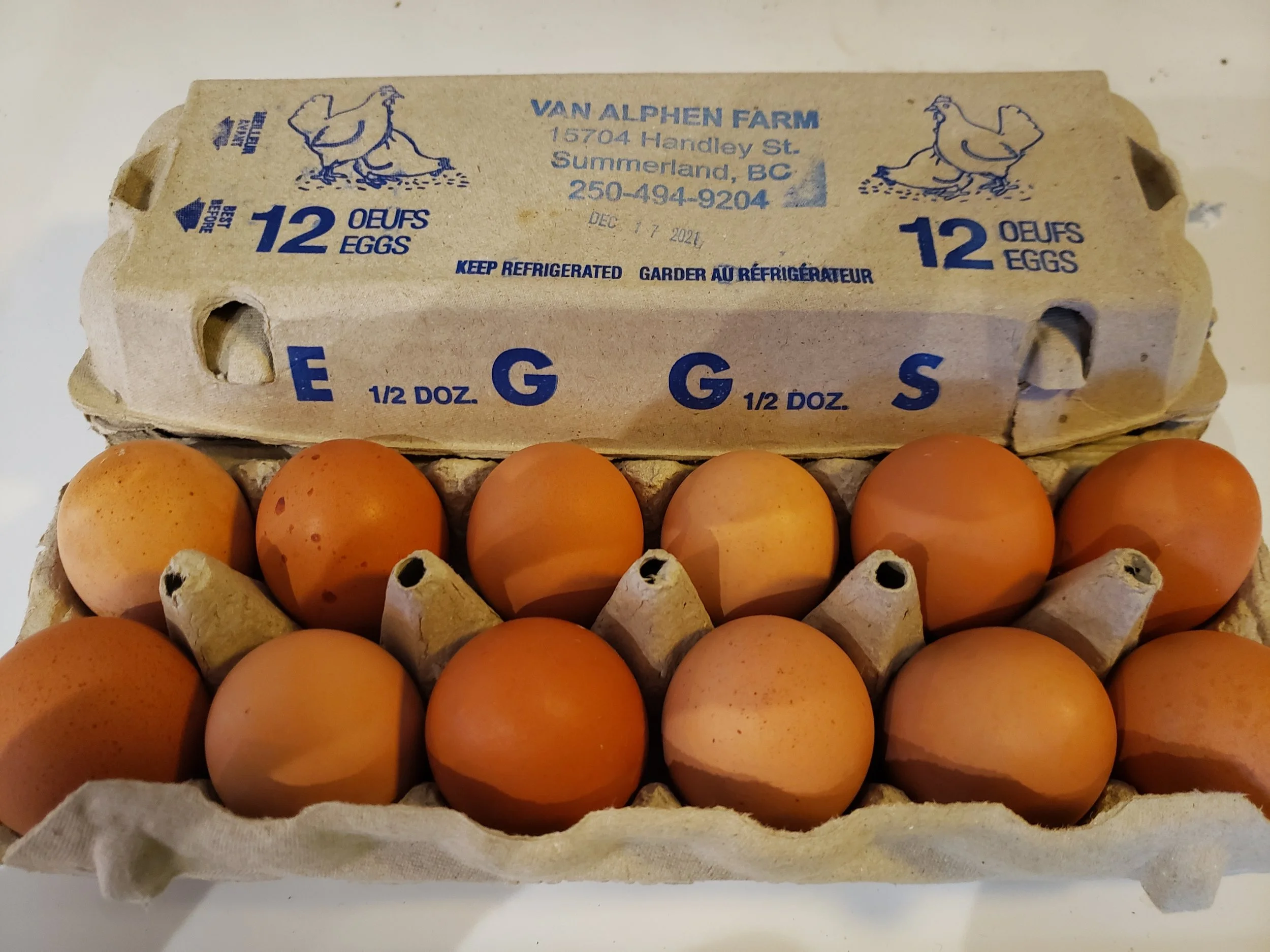 Free Range Eggs