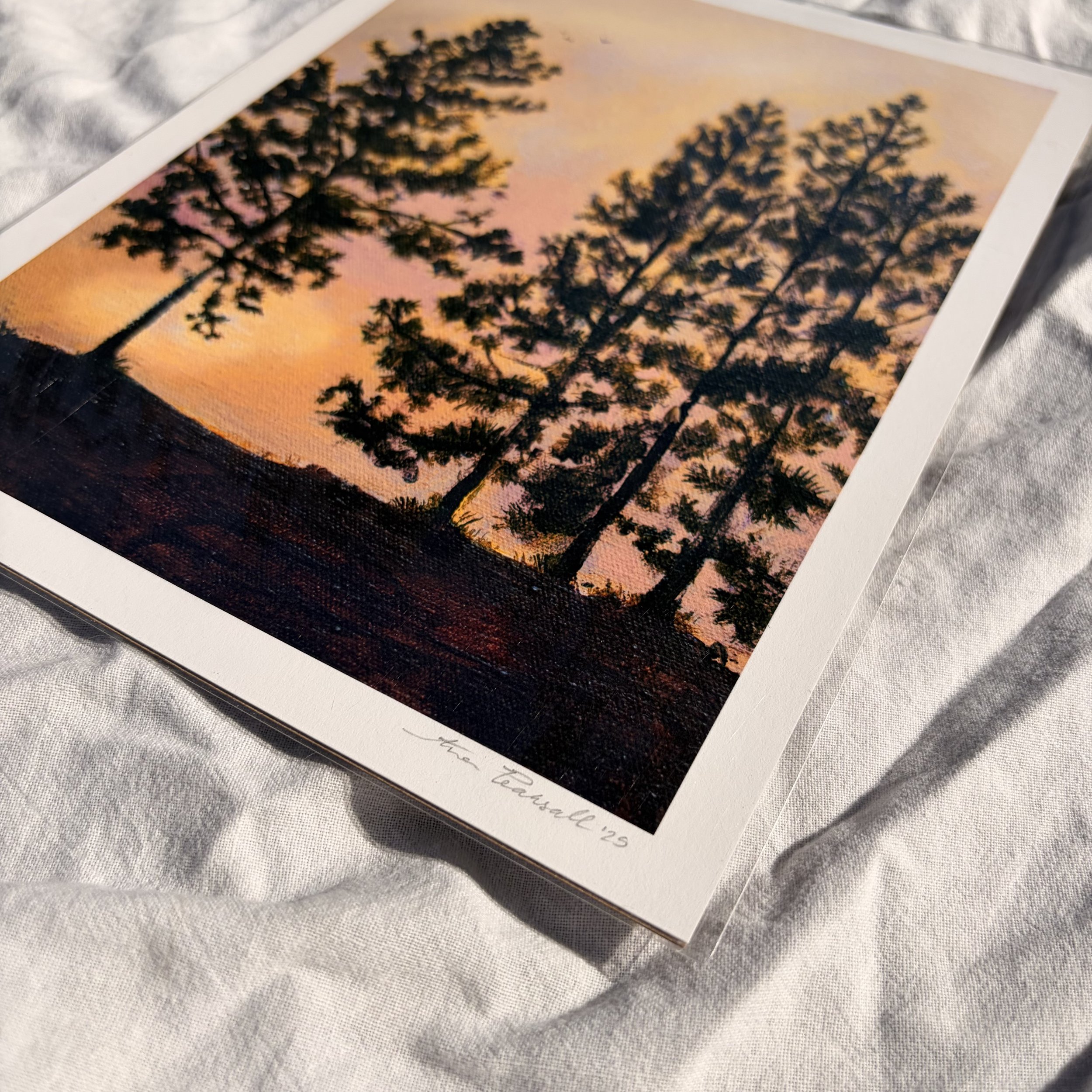 SunsetSilhouette_PrP2.jpeg