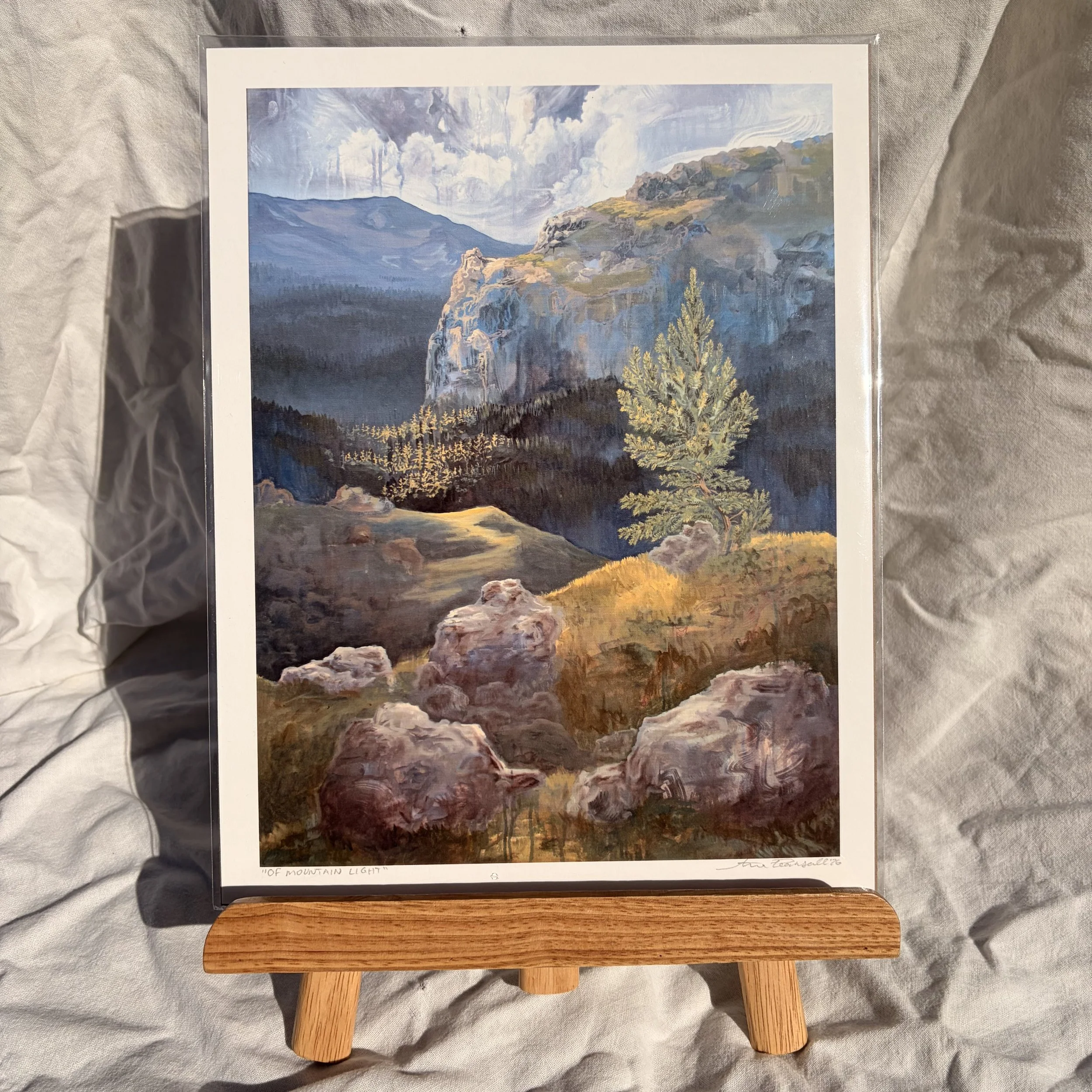 OfMtnLight_PrP1.jpeg