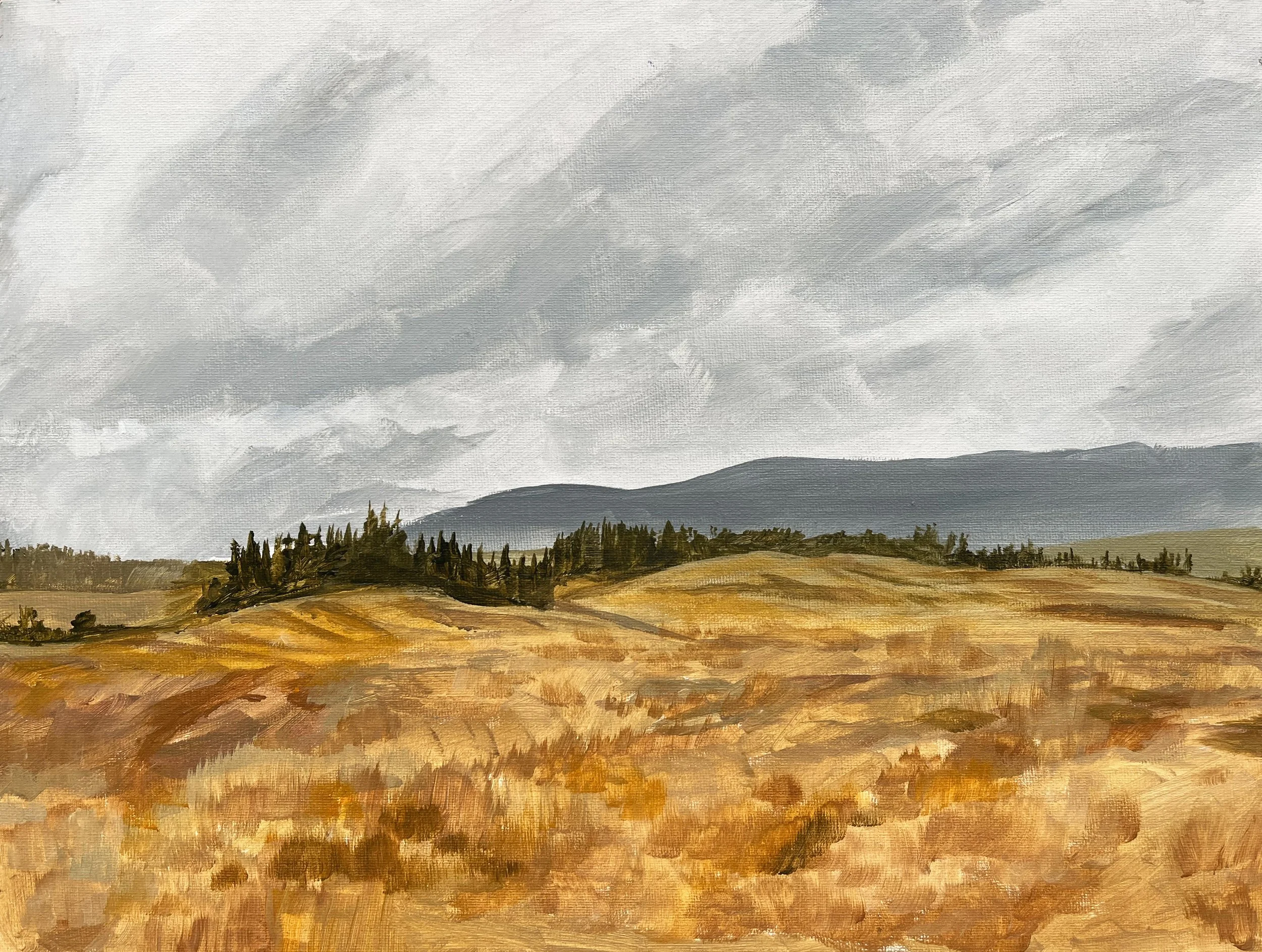 Zorn Field-webquality.jpg