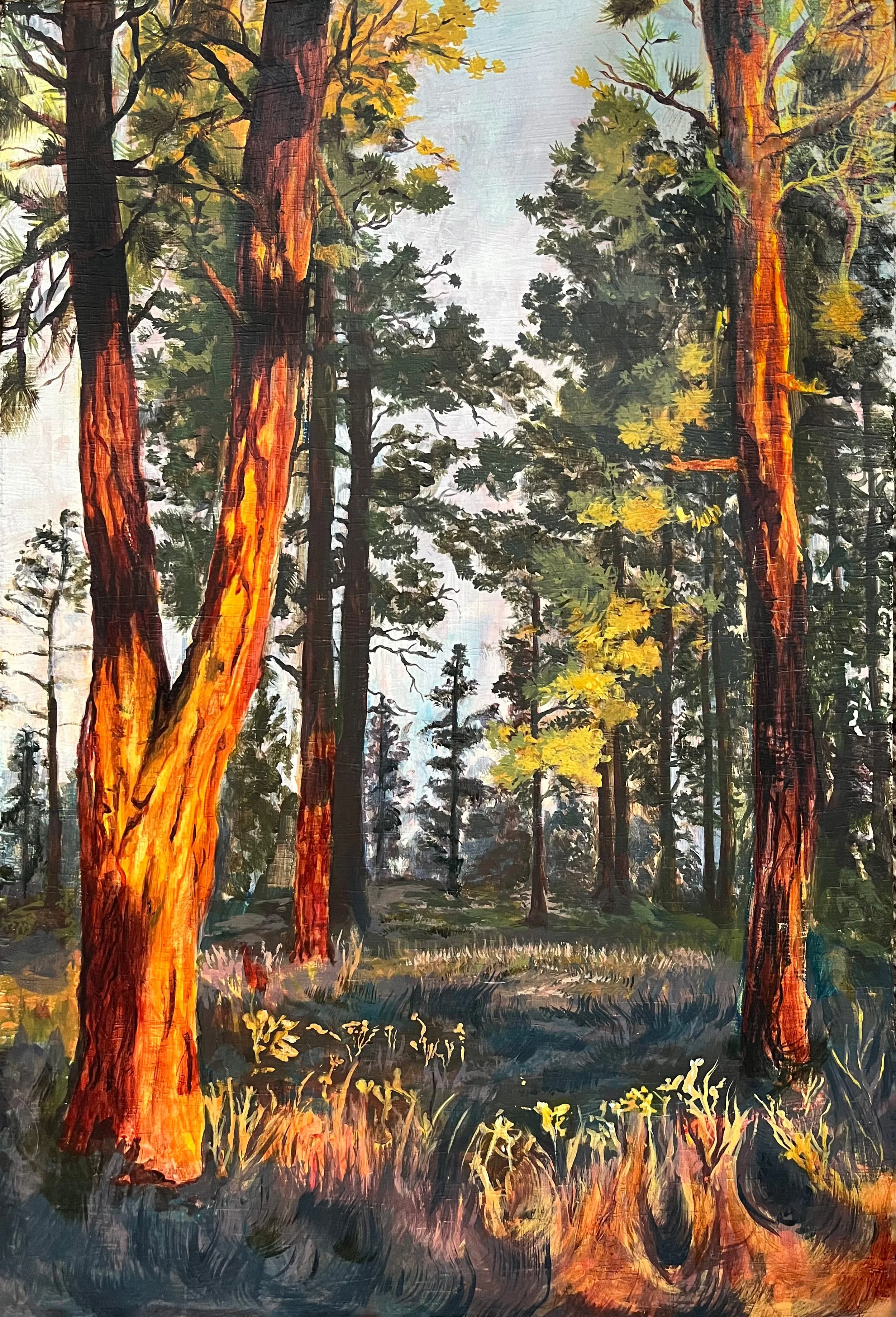 Ponderosas at Sunrise-webquality.jpg