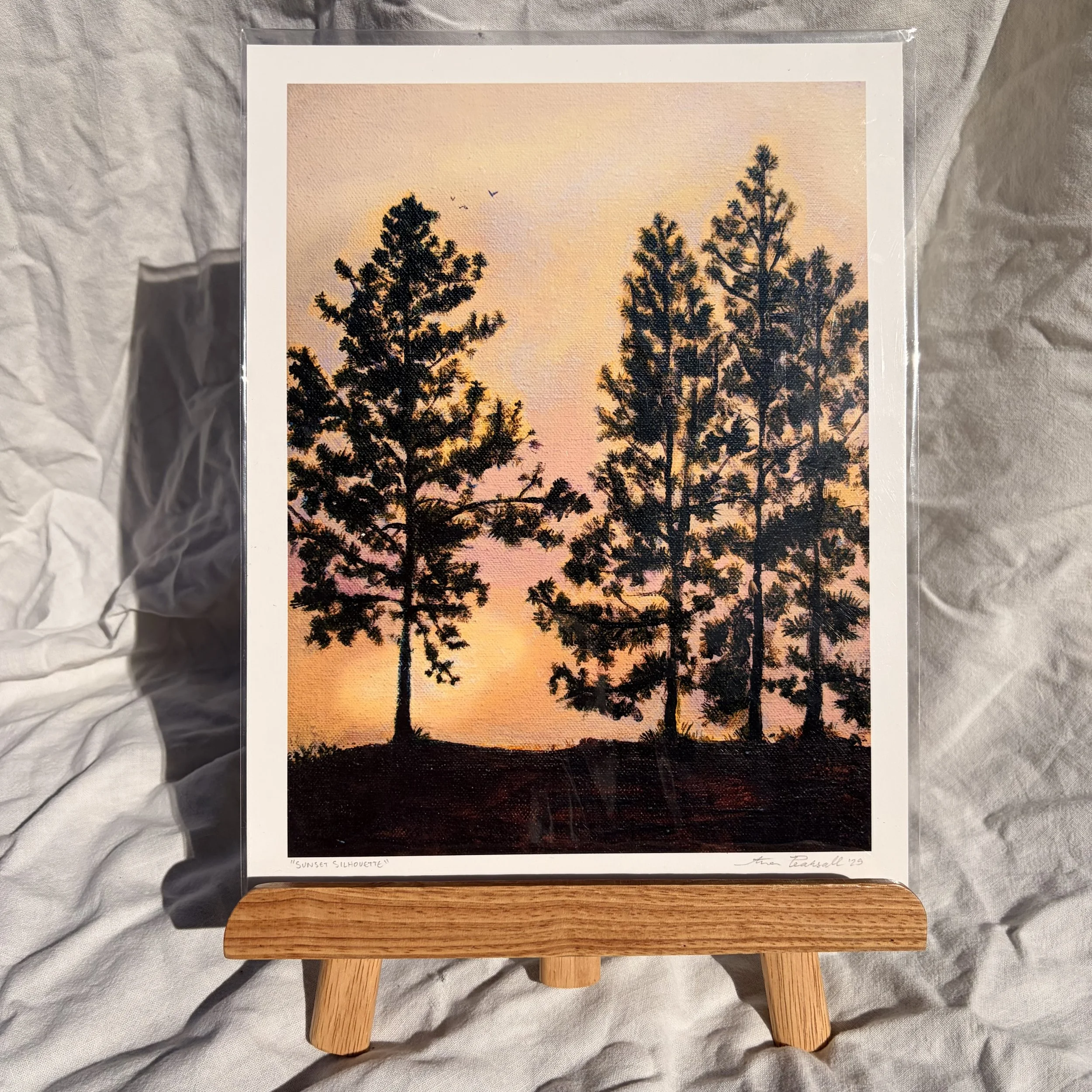SunsetSilhouette_PrP1.jpeg