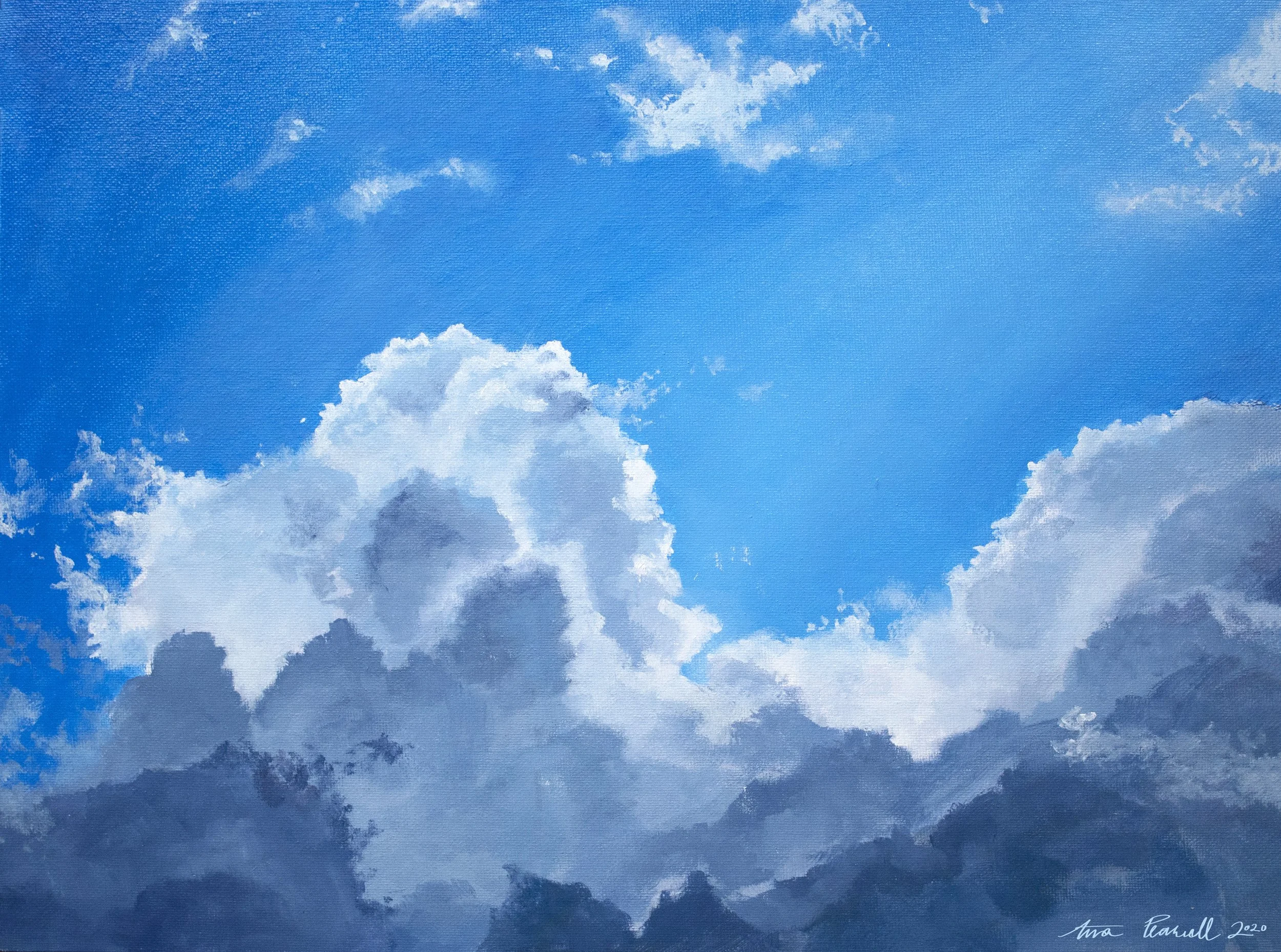 "Clouds Study"
16 x 20 in, Oil on Canvas Panel