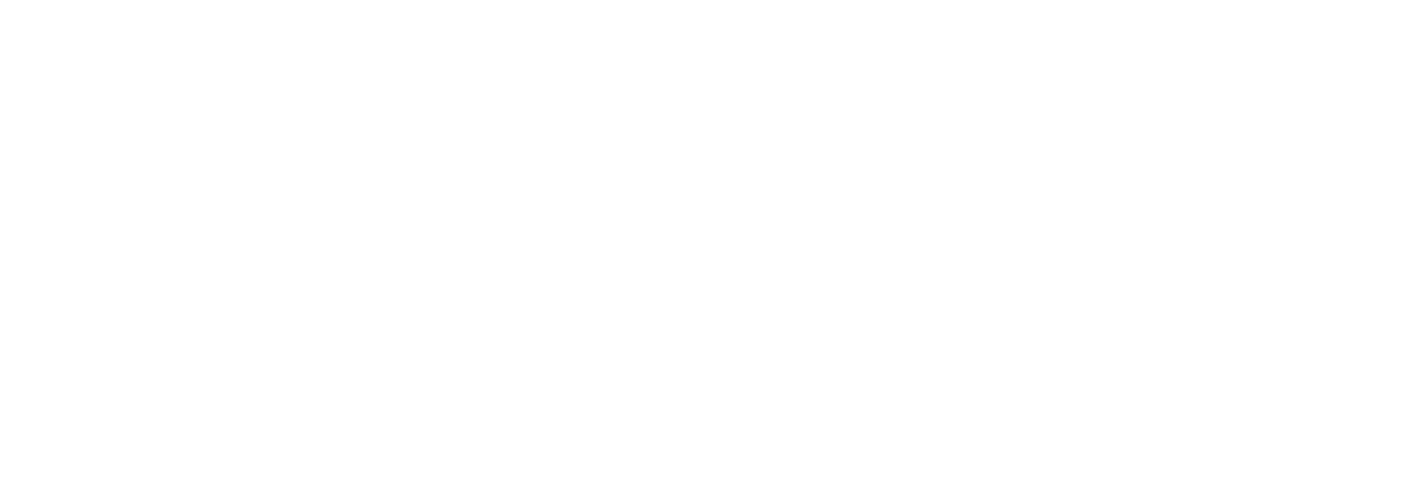 Brian M Price