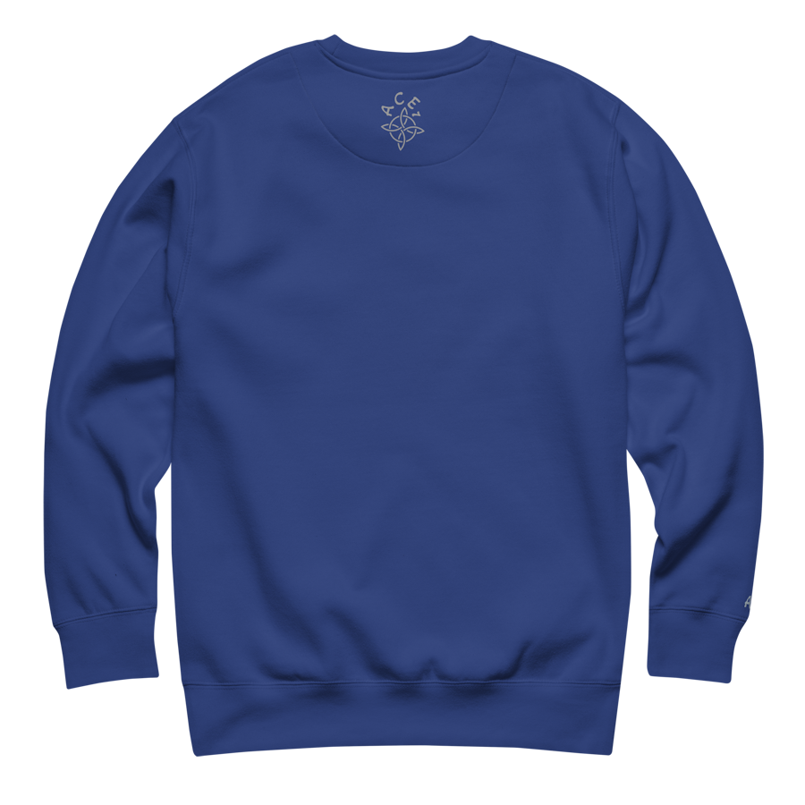 unisex-premium-sweatshirt-team-royal-back-6a46f867b464c.png