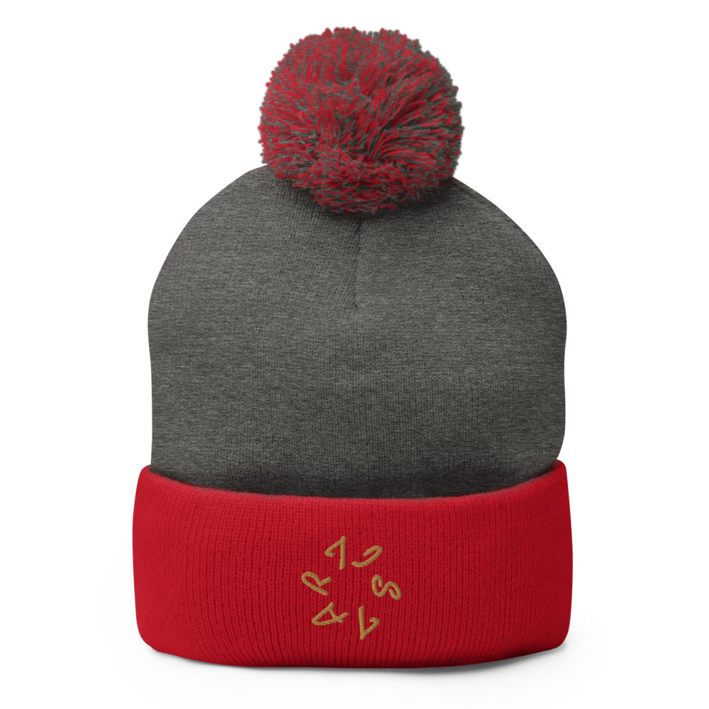 Artist Unisex Pom-Pom Beanie