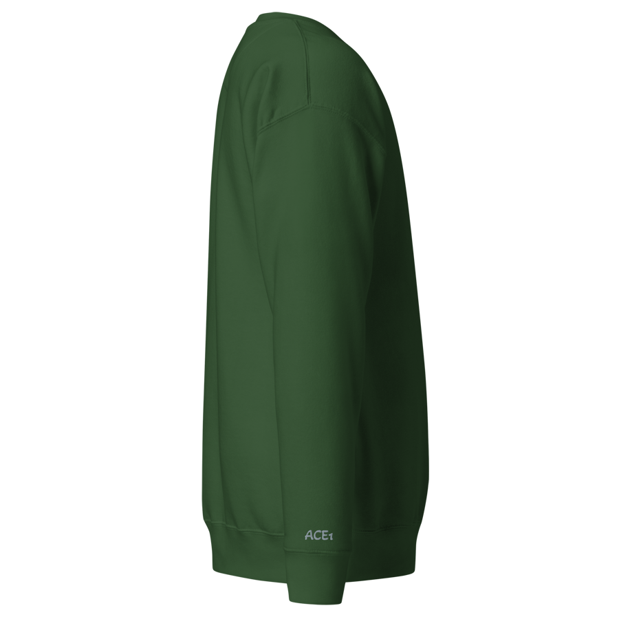 unisex-premium-sweatshirt-forest-green-right-6a46f867b2a4b.png