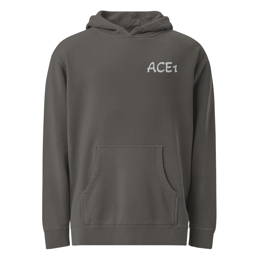Unisex Artist  hoodie (ACE1)