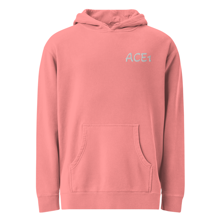 unisex-pigment-dyed-hoodie-pigment-pink-front-6a3b1be2d48da.png