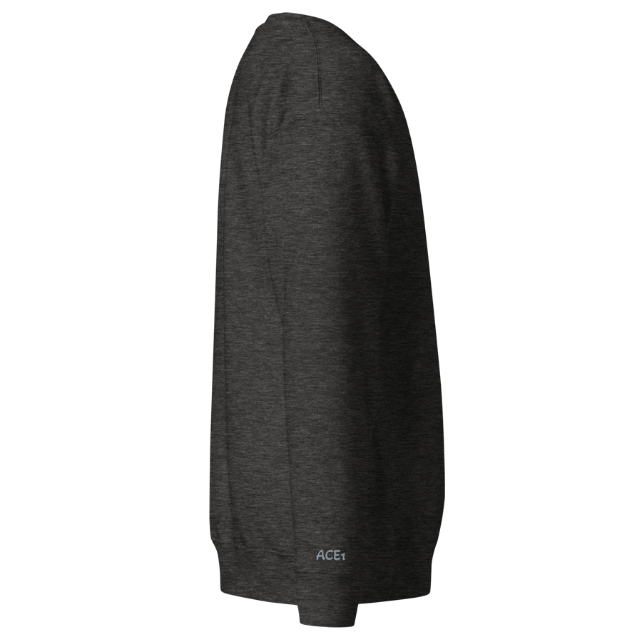 unisex-premium-sweatshirt-charcoal-heather-right-6a46f867b2996.png