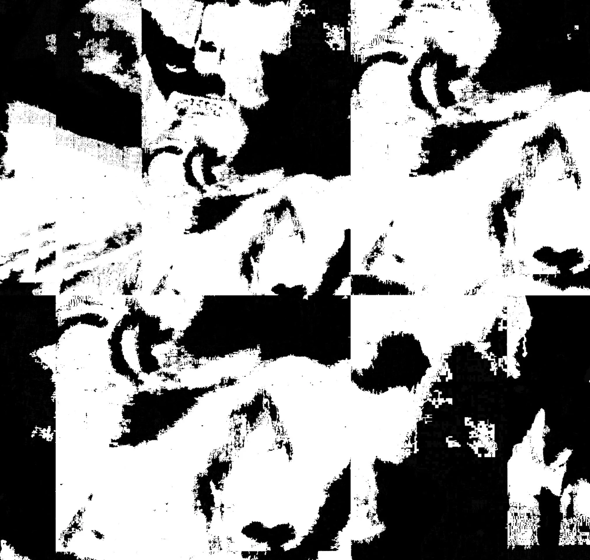 new t shirt design copy.jpg