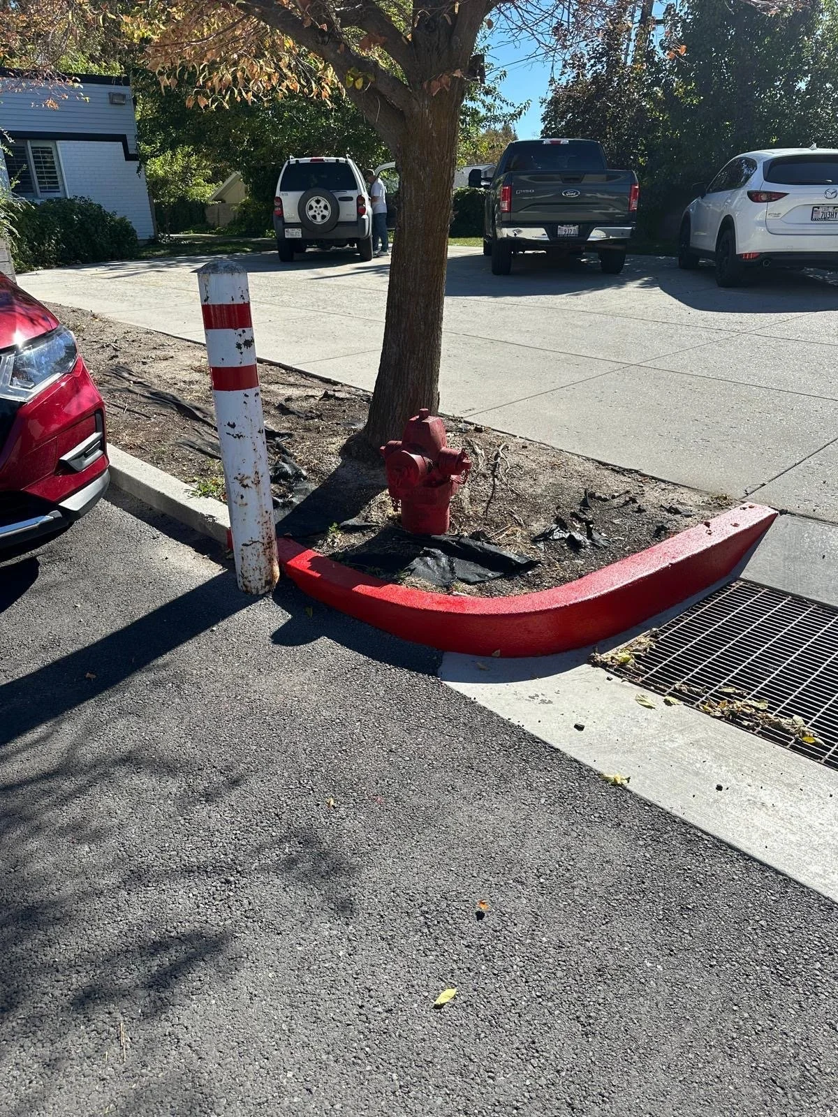 A red fire hydrant behind a damaged red and white curbside barrier. The barrier is bent and cracked. There is a tree and multiple parked cars in the background, along with a sidewalk and a storm drain.