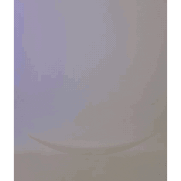 Close-up of a white plate with a faint rim visible, placed against a neutral background.