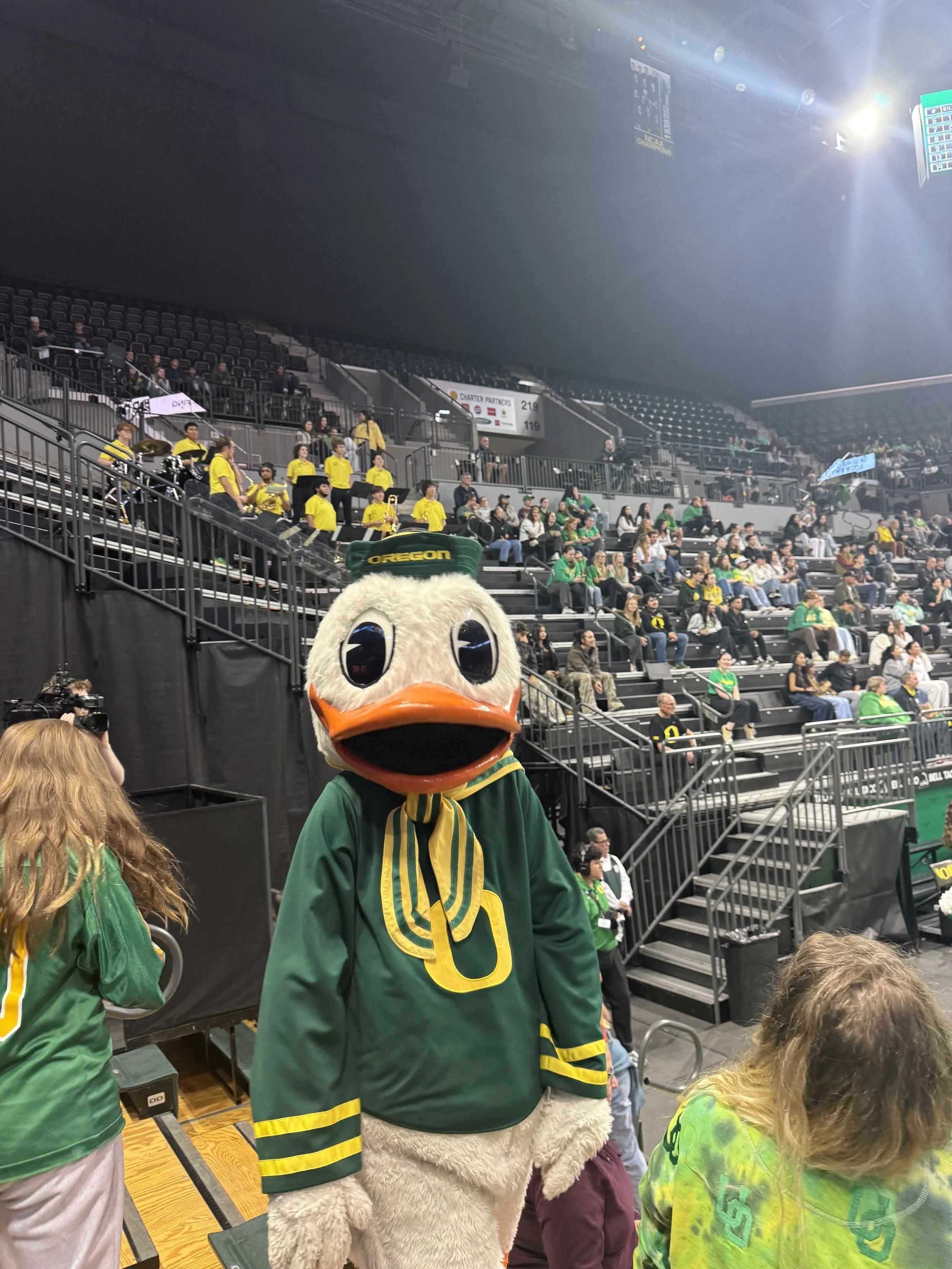 University of Oregon mascot, Donald Duck, at a sports event, wearing green and yellow attire, with a crowd in the background.