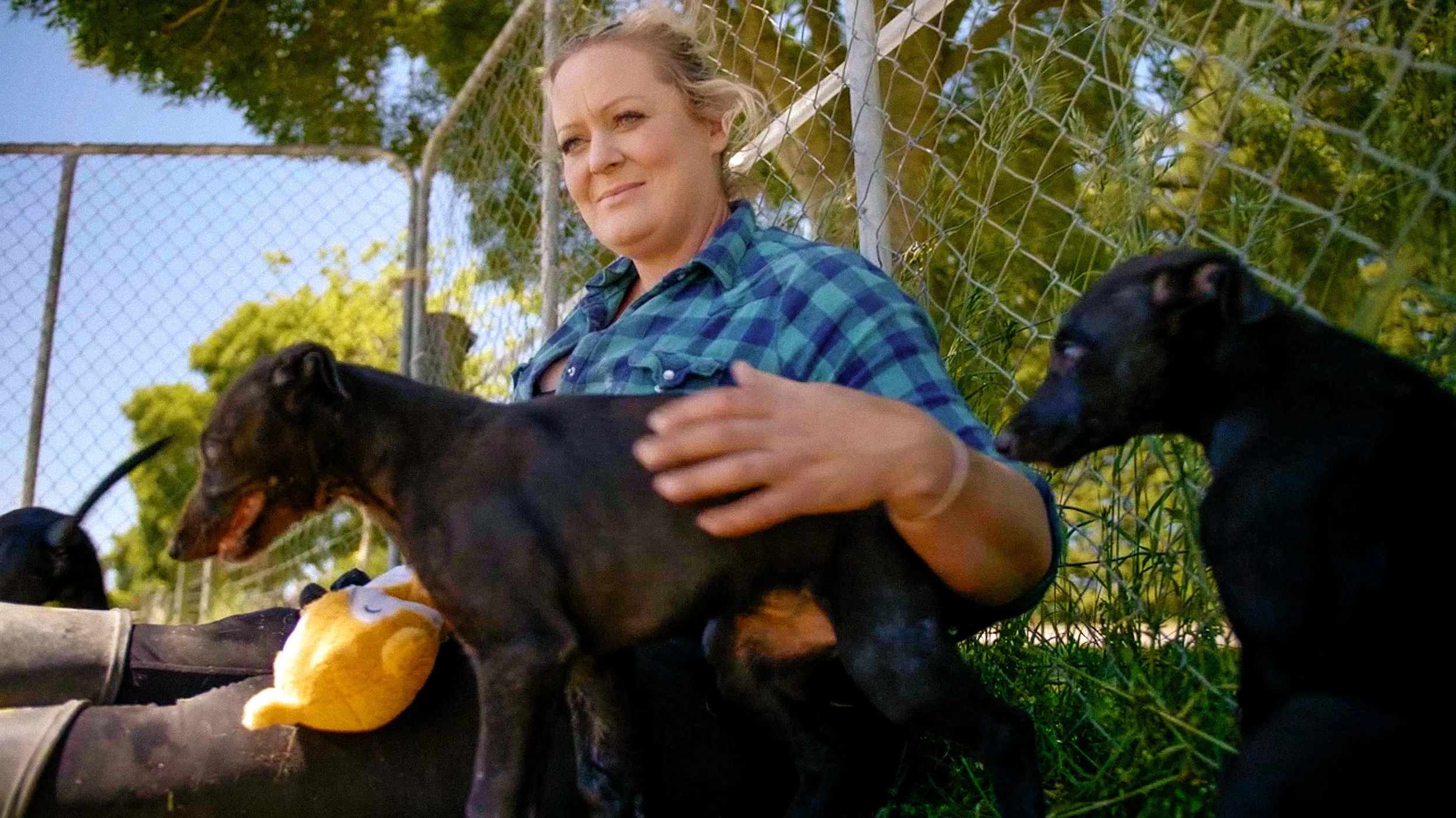 Ange’s Hand Reared Pups