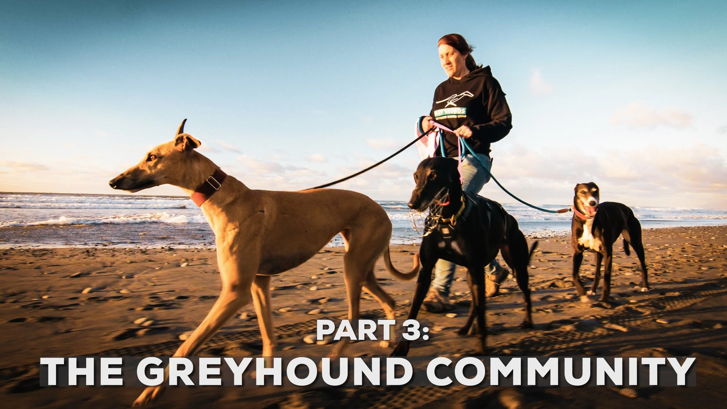 The Greyhound Community