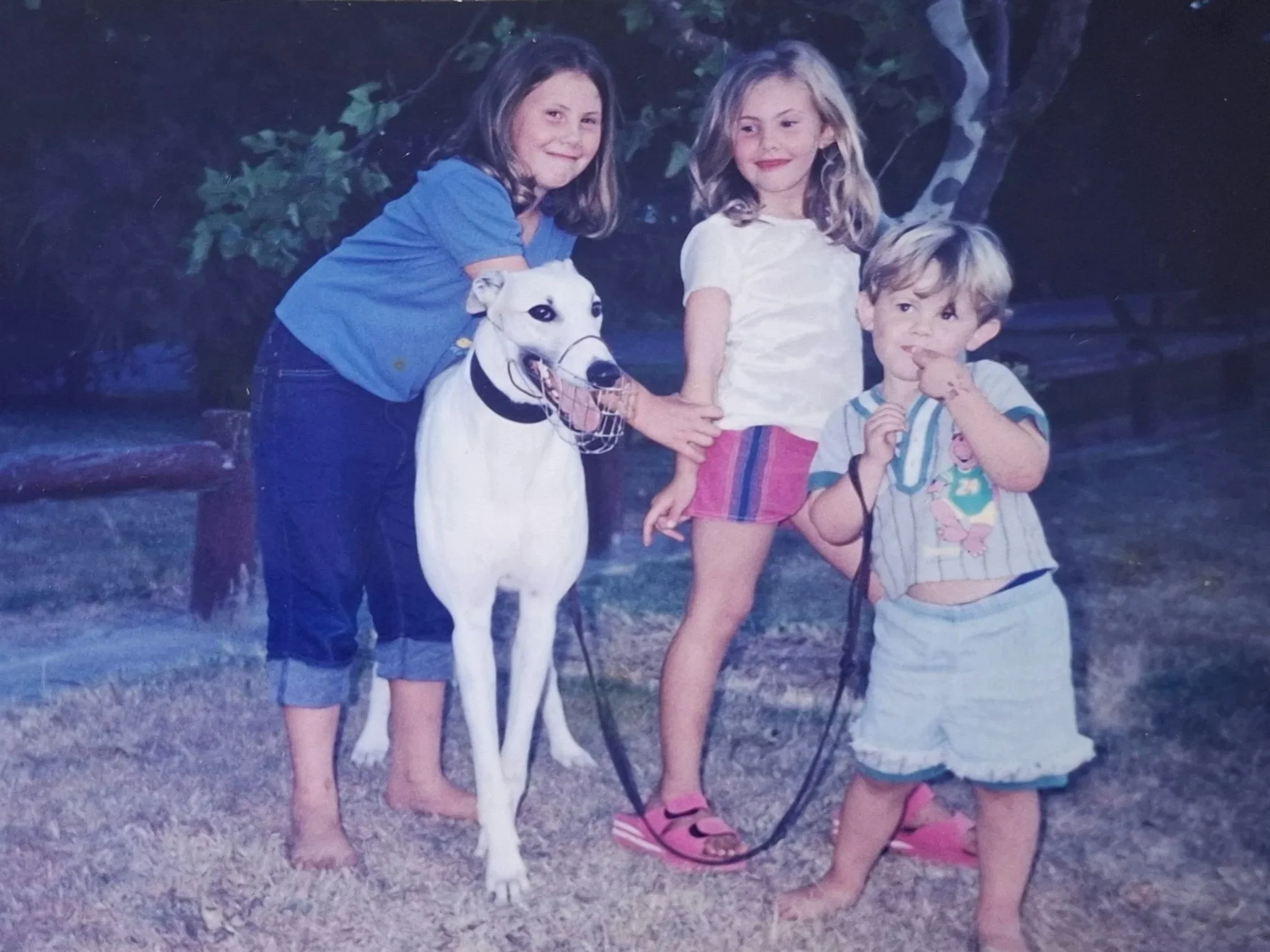 Three children and a Great Dane puppy outdoors at dusk, with a tree and a wooden fence in the background. The children are barefoot on grass, one girl is petting the puppy, a boy is holding a leash, and another girl stands nearby with her hands on he