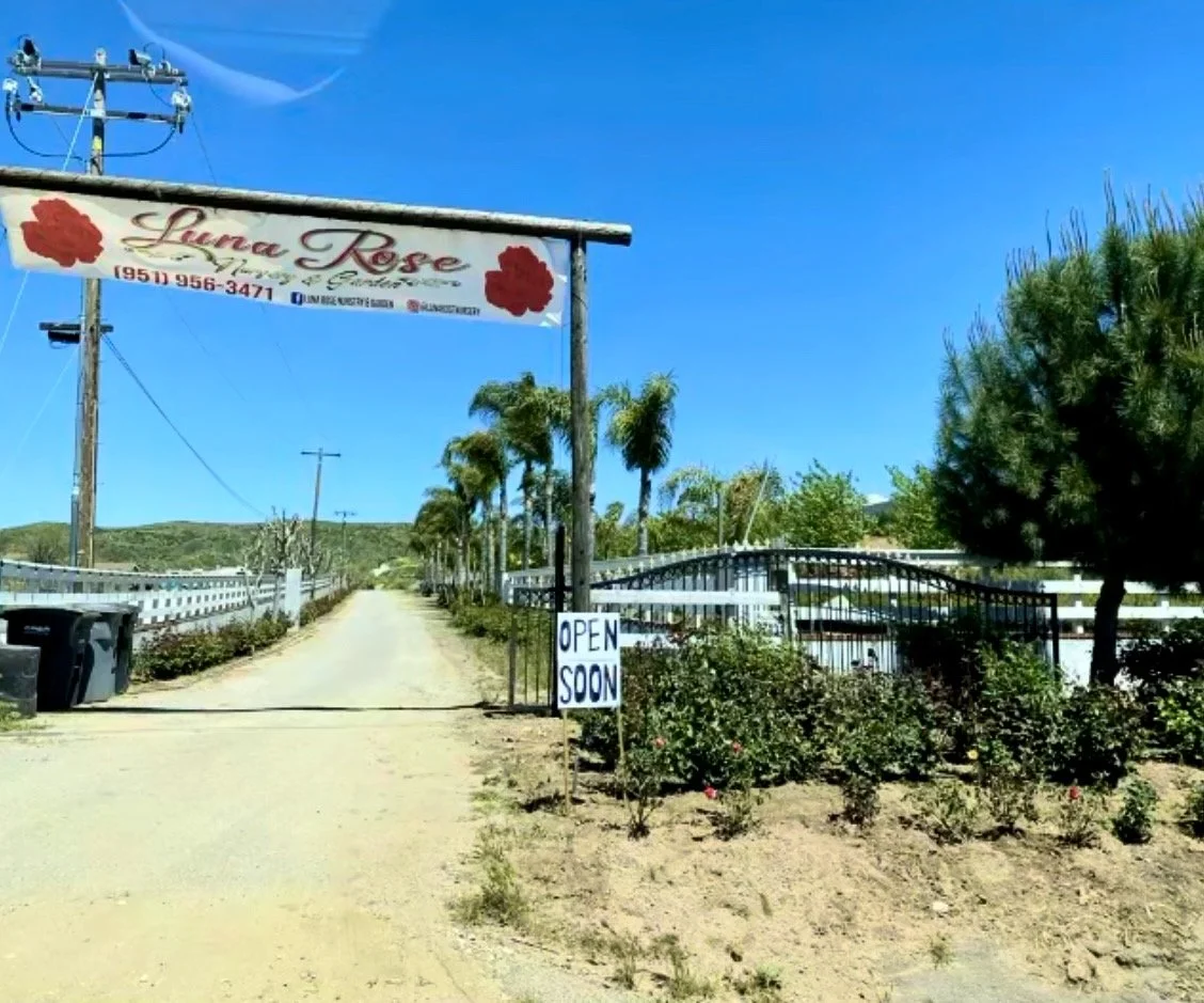 A dirt driveway leading to a flower shop called Luna Rose with a sign that says 'Open Soon,' surrounded by palm trees, bushes, and a black gate, under a clear blue sky.