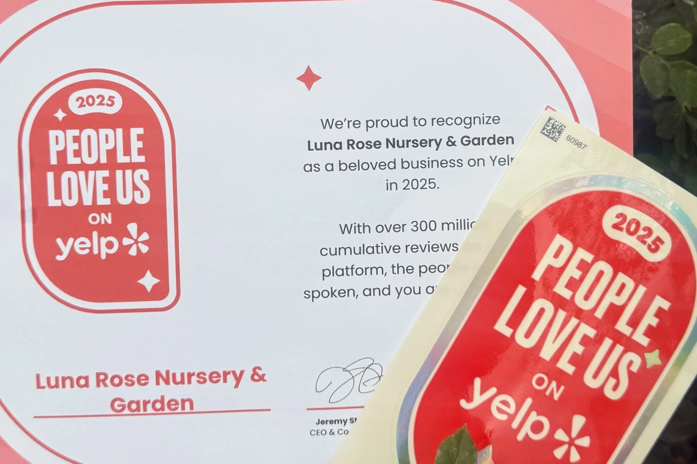 Recognition award certificate from Yelp for Luna Rose Nursery & Garden, dated 2025, with multiple signed signatures and decorative elements, partly covered by a small sticker.