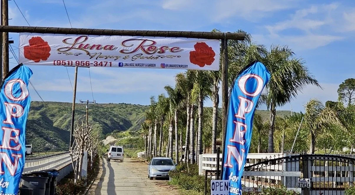 Entrance to Luna Rose Nursery and Garden with open flags, palm trees, parked cars, and rolling green hills in background.