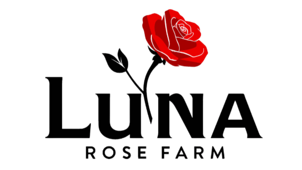 Text About Roses Luna Rose Farm