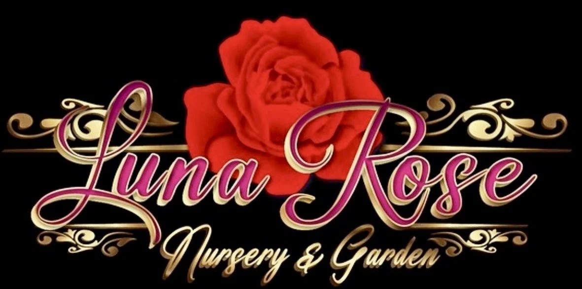 Logo for Luna Rose Nursery & Garden featuring a red rose and elegant gold and pink lettering.
